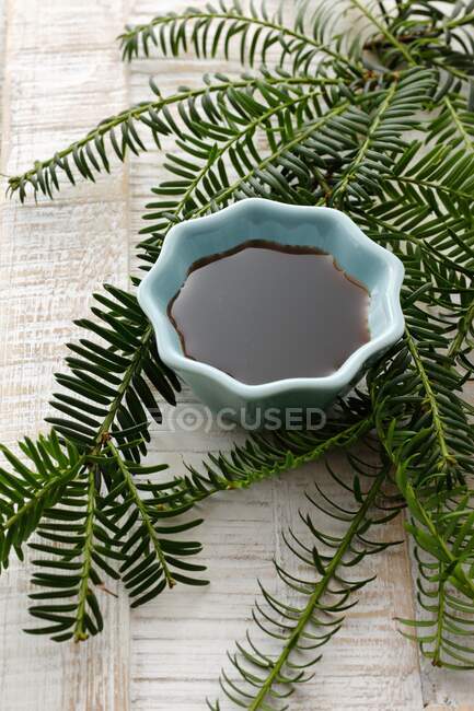 Spruce tip syrup in a small bowl — Stock Photo