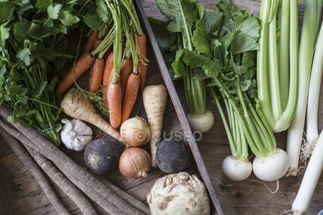 Una caja de verduras con verduras de raíz, cebolla y perejil - foto de stock