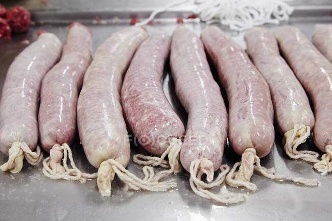 Raw Butifarra (Spanish sausage) in a butchers — Stock Photo