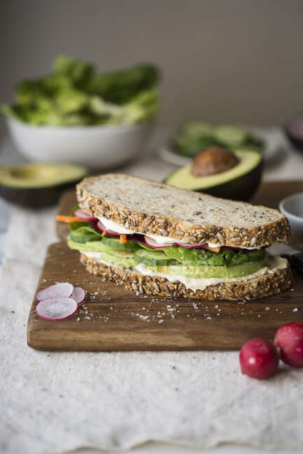 Nahaufnahme von köstlichem Avocado-Gemüse-Sandwich — Stockfoto