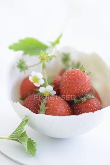Frische Erdbeeren mit Blüten in kleiner Schüssel — Stockfoto