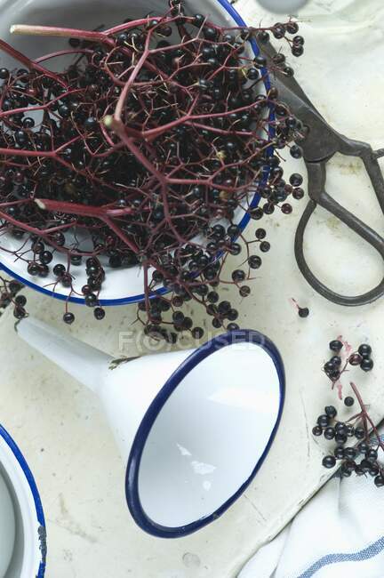Ingredients and kitchen utensils for making homemade elderberry juice — Stock Photo