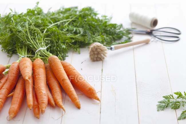 Zanahorias con tallos verdes agrupados en la superficie de madera - foto de stock