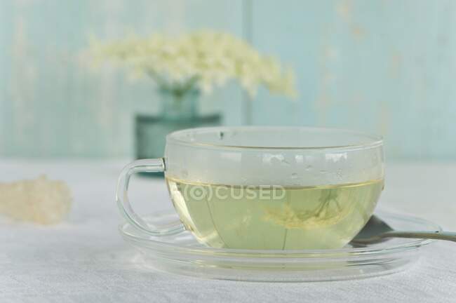 Elderberry blossom tea in a cup with elderberry blossoms and a candy stick — Stock Photo