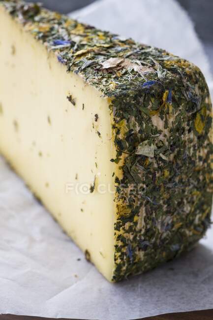 Mountain cheese with dried herbs on paper — Stock Photo