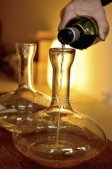 Decantar un vino blanco en un karaf - foto de stock
