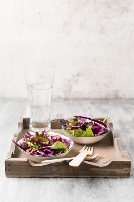 Салат из листьев салата с красной капустой и пшеницей — стоковое фото