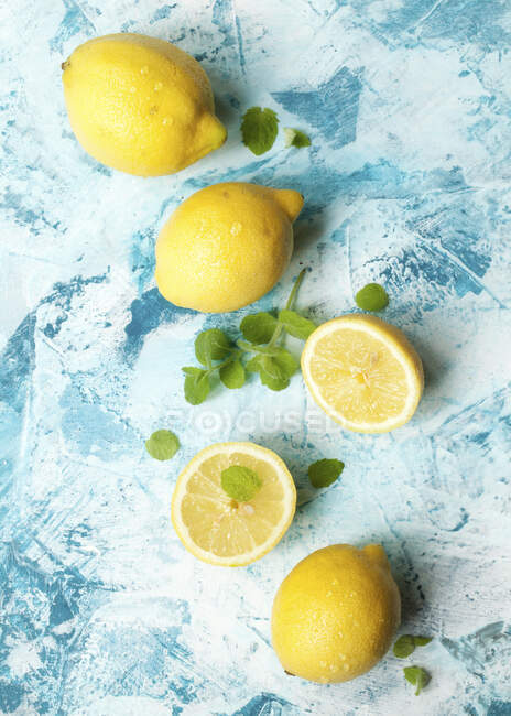Fresh lemons and mint — Stock Photo