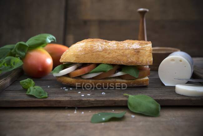 Ciabatta con albahaca, balsámico, tomates y mozzarella vegana - foto de stock