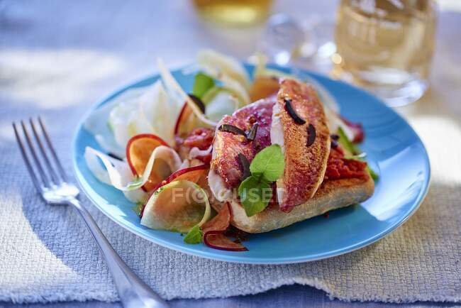 Red mullet with a vegetable salad — Stock Photo