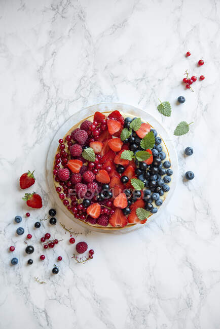 Tart with creme patisserie and summer berries on marble surface — Stock Photo
