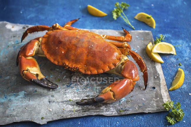 Un crabe, des quartiers de citron et du persil — Photo de stock