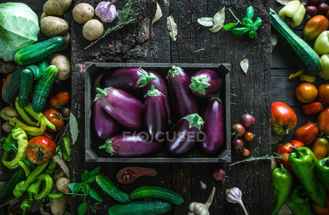 Légumes frais récoltés bio dans un cadre rustique — Photo de stock