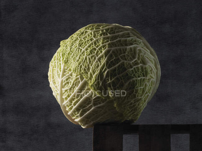 Fresh green cabbage on black background — Stock Photo