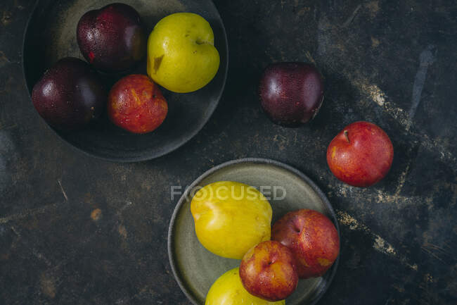 Colorful plums in plates on marble surface — Stock Photo