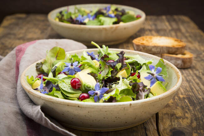 Una ensalada verde mixta con aguacate, grosellas rojas y flores de borraja - foto de stock