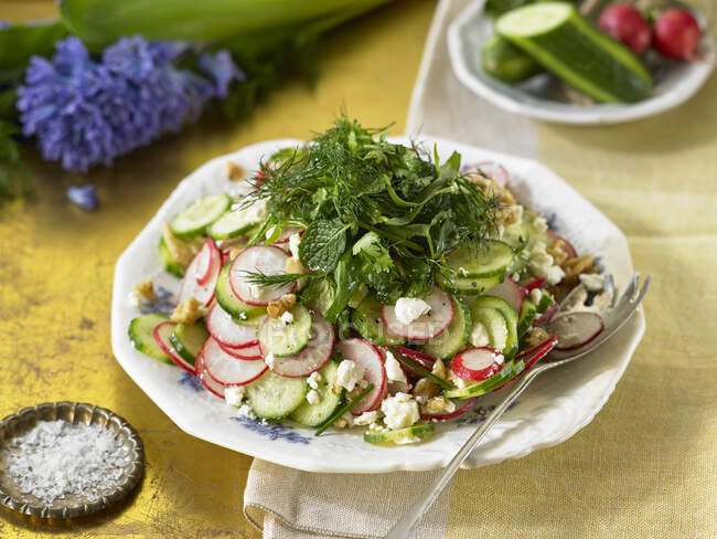 Ervas e salada de rabanete com feta e nozes — Fotografia de Stock
