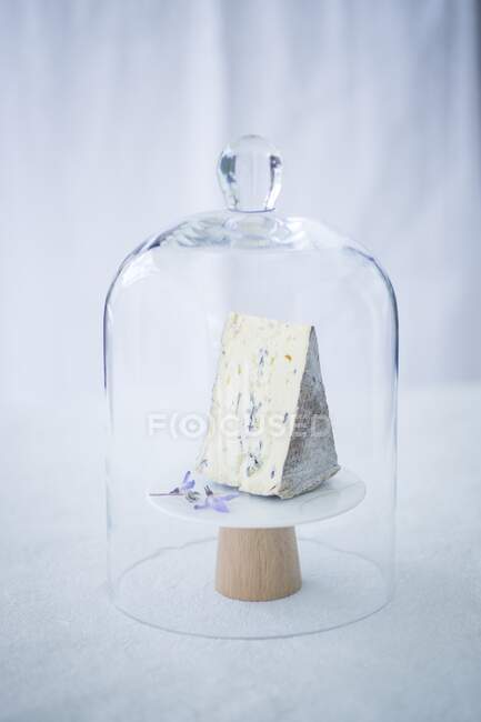 Queijo azul sob sino de queijo de vidro — Fotografia de Stock
