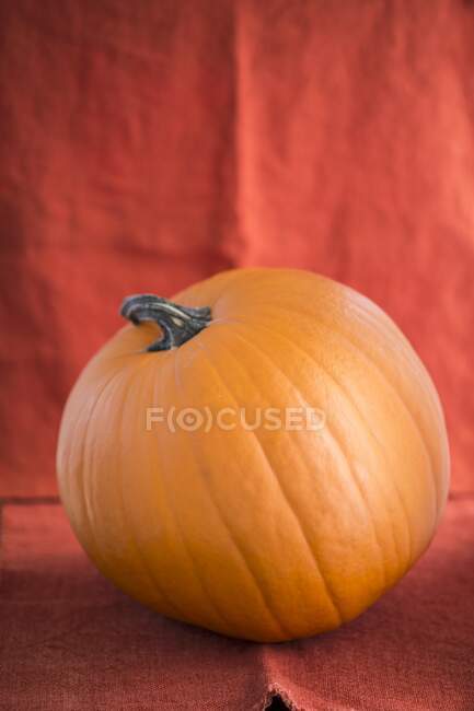 Una calabaza de halloween naranja - foto de stock