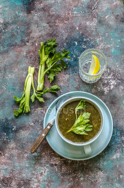 Dietary soup of celery, fresh celery stalk and a glass of water and a slice of lemon — Stock Photo