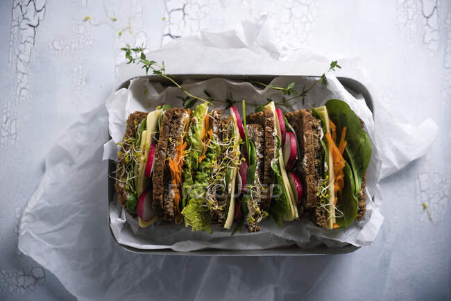 Цветные веганские сэндвичи из цельной муки с миндальным сыром в коробке для завтрака — стоковое фото