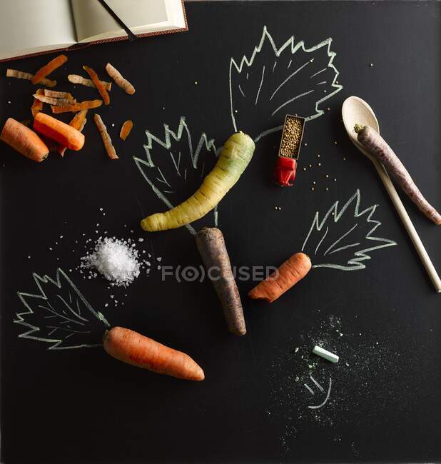 Various carrots with an illustration of carrot tops — Stock Photo