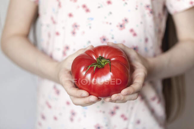 Ein Mädchen hält eine große Tomate in der Hand — Stockfoto