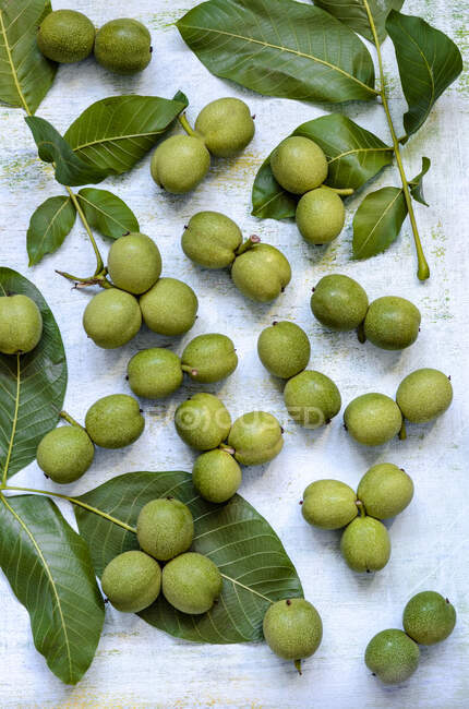 Green walnuts on a wooden blue background — Stock Photo