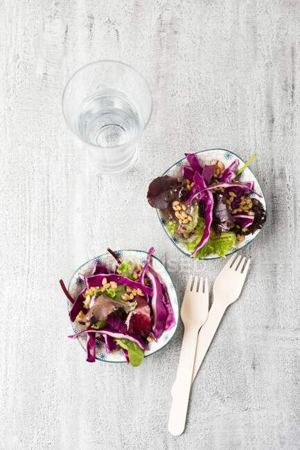 A leaf lettuce salad with red cabbage and wheat — Stock Photo