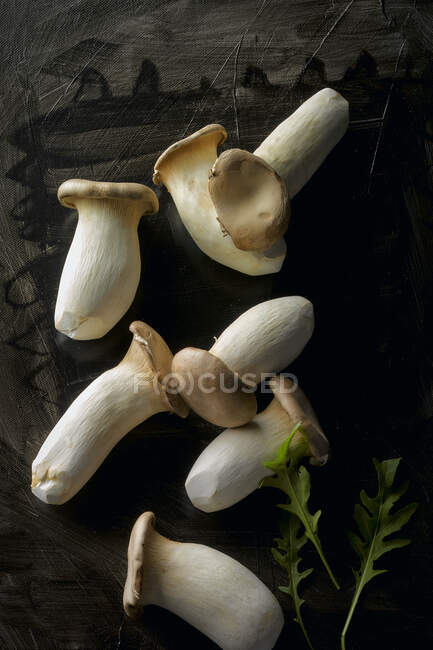 Königstrompeten-Pilze auf dunkler Oberfläche — Stockfoto