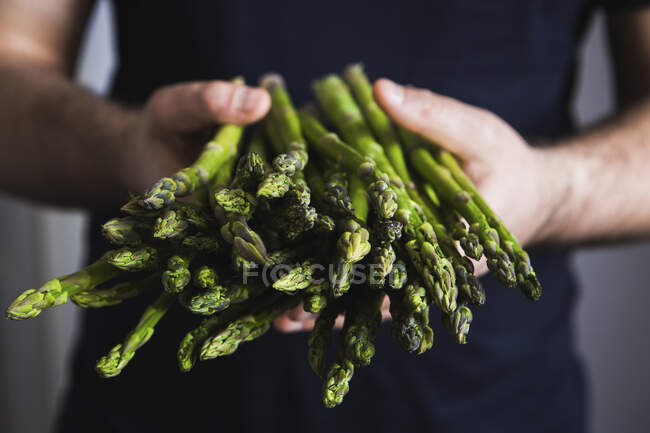 Una persona che regge lance di asparagi verdi freschi — Foto stock
