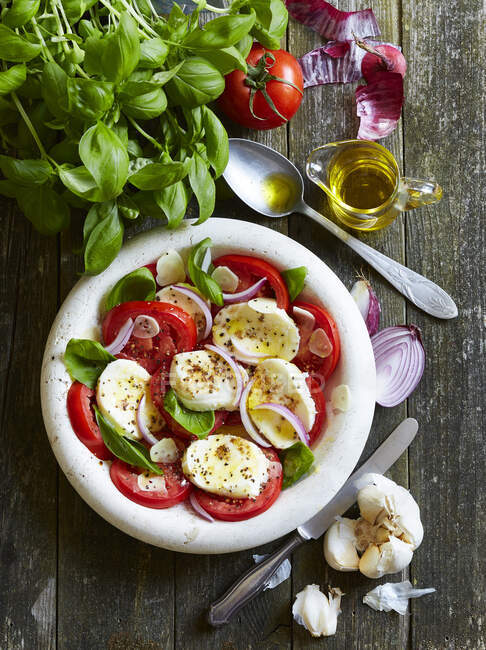 Tomaten mit Mozzarella, roten Zwiebeln, Olivenöl und Basilikum — Stockfoto