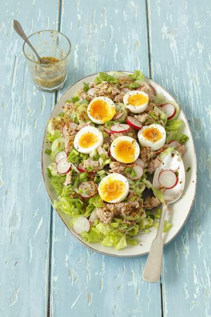 Tuna salad with eggs, cucumbers and radishes — Stock Photo