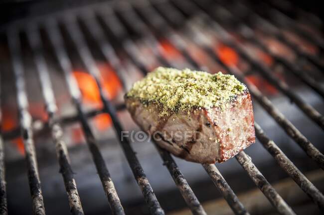 Bifteck de thon avec une croûte de pistache sur un gril — Photo de stock