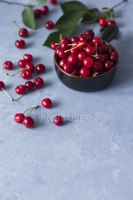Ripe red cherries in ceramic bowl and on concrete surface — Stock Photo