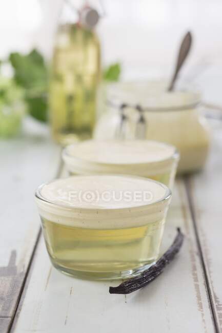 Elderflower blossom jelly with vanilla sauce — Stock Photo