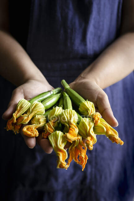 Fresh courgette flowers held in hands — Stock Photo