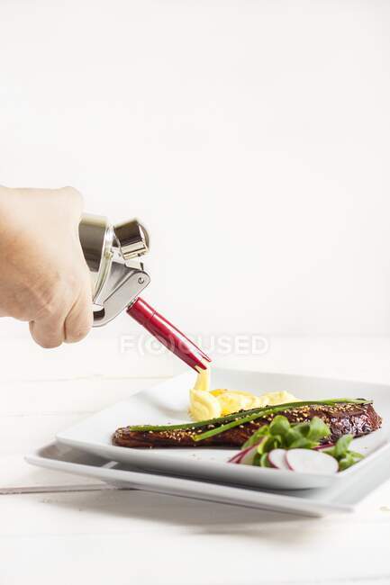Kartoffelpüree mit einem Schlagsahnespender auf einen Teller spritzen — Stockfoto