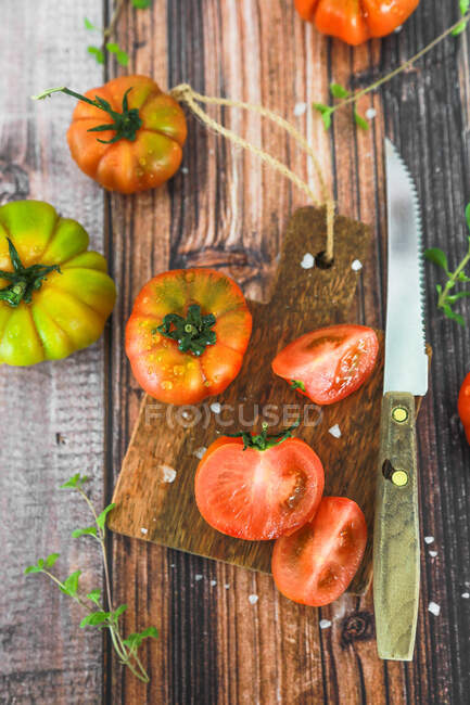 Tomates frescos recién recogidos del jardín listos para convertirse en ensalada - foto de stock