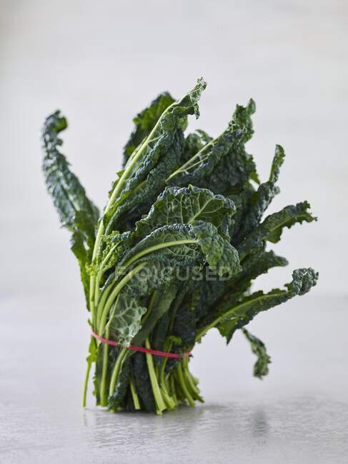 A bundle of green cabbage leaves — Stock Photo