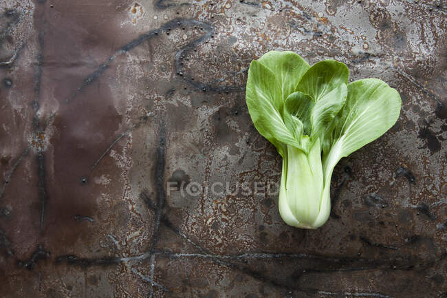 Крупным планом свежей капусты на кухне — стоковое фото