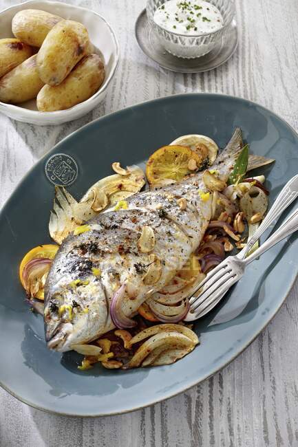 Seabream on fennel medley with new potatoes and herbs sauce — Stock Photo
