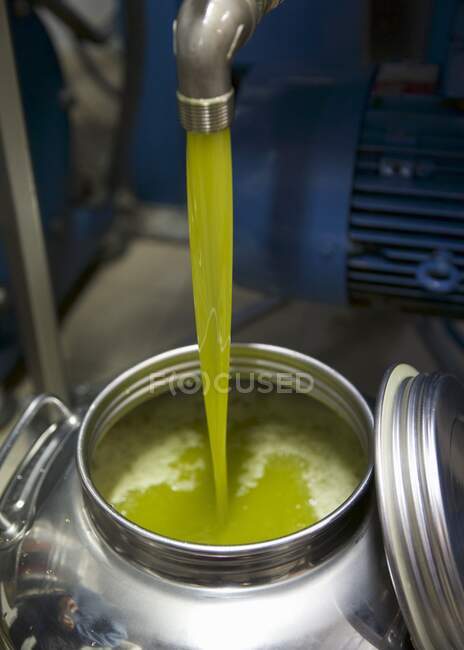 Green olive oil flowing from a press into containers — Stock Photo