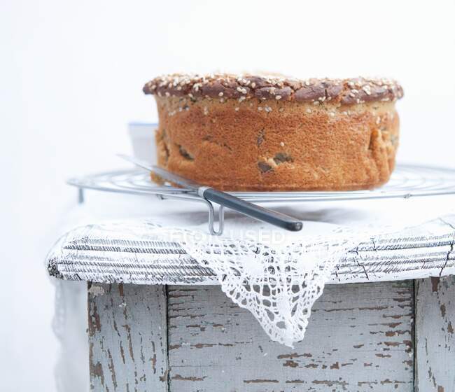 Close-up de delicioso pão de gergelim em um rack de refrigeração — Fotografia de Stock