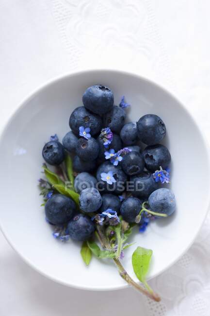 Mirtilos com flores azuis em tigela pequena — Fotografia de Stock