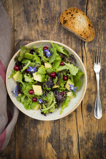 Mixed green salad with avocado, redcurrants and borage flowers — Stock Photo
