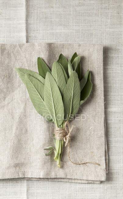 A bundle of sage on a grey, coarse linen napkin — Stock Photo