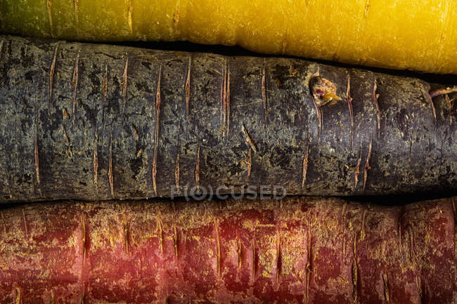 A yellow carrot, a primeval carrot and a red carrot — Foto stock