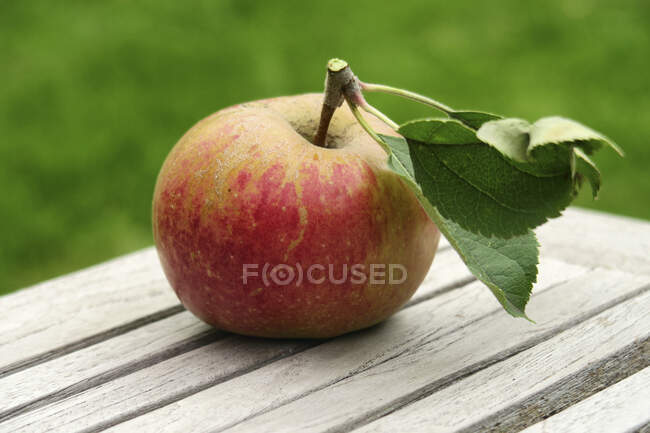 Яблоко со стеблем и листьями — стоковое фото