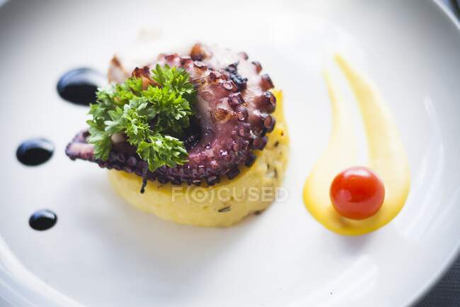 Octopus with roasted potatoes mash and balsamic vinegar — Stock Photo